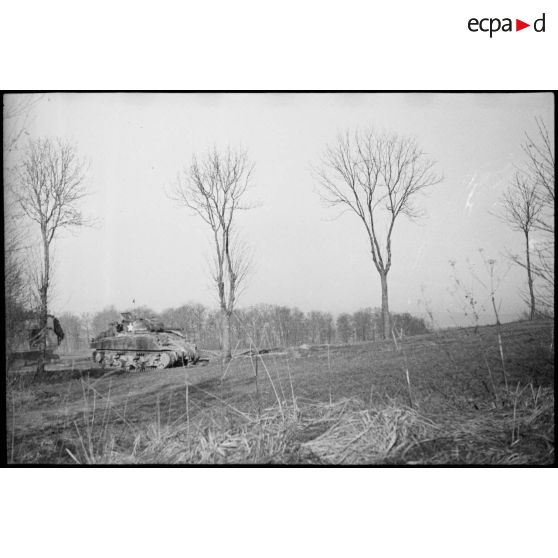 Un char Sherman du 5e RCA (Régiment de chasseurs d'Afrique) lors d'un entraînement aux environs de Romagny (Haut-Rhin). [description provisoire]