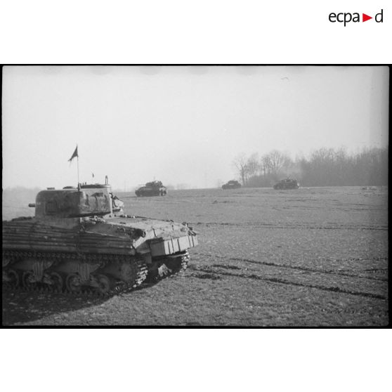Chars Sherman du 2e escadron du 5e RCA (Régiment de chasseurs d'Afrique) lors d'un entraînement aux environs de Romagny (Haut-Rhin). Le régiment fait partie du CC2 (Combat command n° 2) de la 1re DB (Division blindée). [description provisoire]