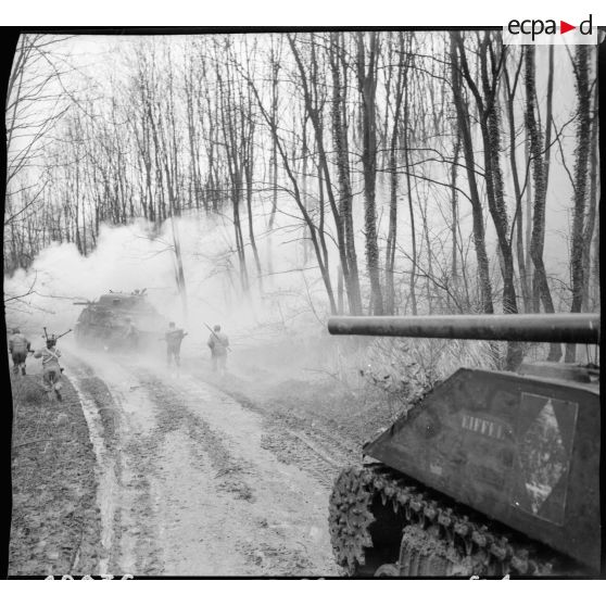 Exercice par des chars Sherman du 1er RCA (Régiment de chars d'Afrique), de la 5e DB (Division blindée), dans la région de Colmar (Haut-Rhin). [description provisoire]