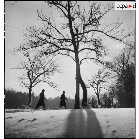 Patrouille française dans la forêt des Vosges. [description provisoire]