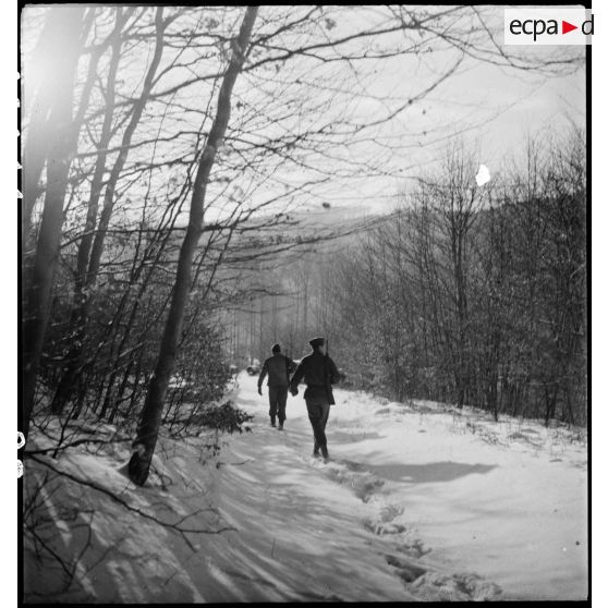 Patrouille française dans la forêt des Vosges. [description provisoire]