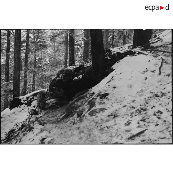 Abris de fortune pour des soldats du 1er RTM (Régiment de tirailleurs marocains) sur le front près de Ranspach (Haut-Rhin). [description provisoire]