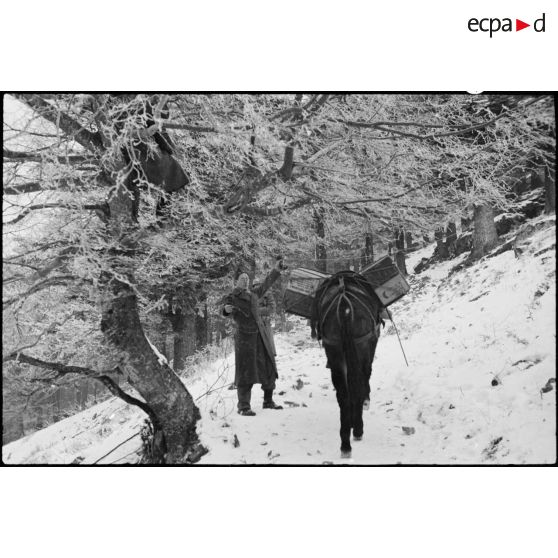 Réfection d'une ligne téléphonique par des soldats du 1er RTM (Régiment de tirailleurs marocains) près de Ranspach (Haut-Rhin). [description provisoire]