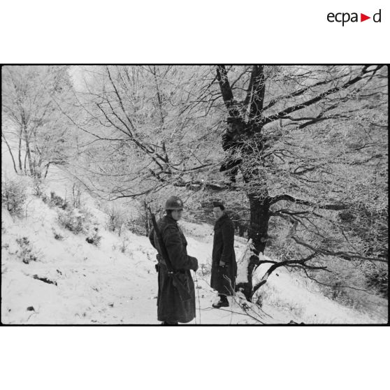 Réfection d'une ligne téléphonique par des soldats du 1er RTM (Régiment de tirailleurs marocains) près de Ranspach (Haut-Rhin). [description provisoire]