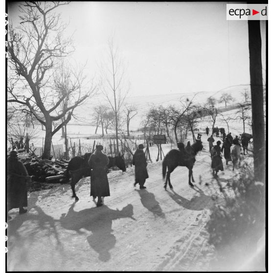 Progression d'une colonne de goumiers et de leurs mulets sur une route enneigée vers Triembach-au-Val (Bas-Rhin). [description provisoire]