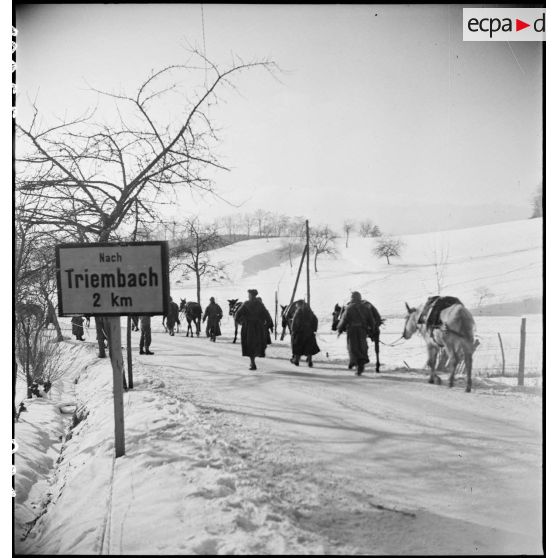 Progression d'une colonne de goumiers et de leurs mulets sur une route enneigée vers Triembach-au-Val (Bas-Rhin). [description provisoire]