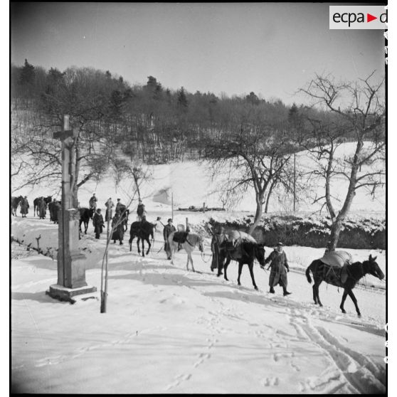 Progression d'une colonne de goumiers et de leurs mulets sur une route enneigée vers Triembach-au-Val (Bas-Rhin). [description provisoire]