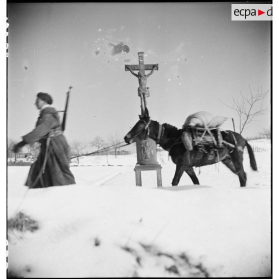 Progression d'un goumier et de son mulet sur une route enneigée vers Triembach-au-Val (Bas-Rhin). [description provisoire]