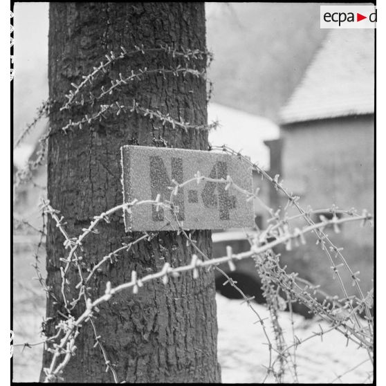 Bataille d'Alsace : La 2e DB au repos à Obernai. [description provisoire]