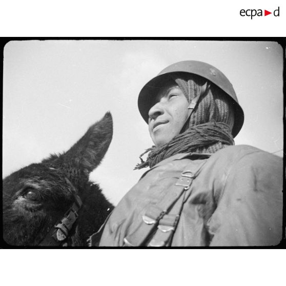 Portrait de goumier. [description provisoire]