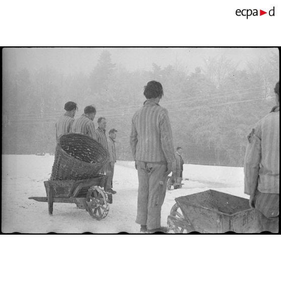 Camp de concentration de Natzwiller-Struthof. [description provisoire]