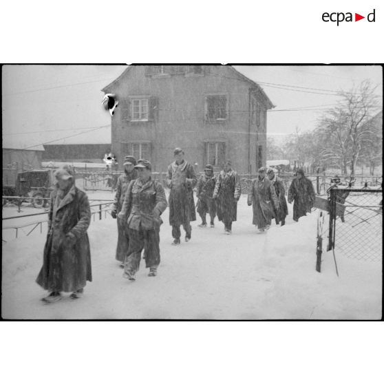 Bataille d'Alsace : La 4e DMM (Division marocaine de montagne) dans la région de Thann. [description provisoire]