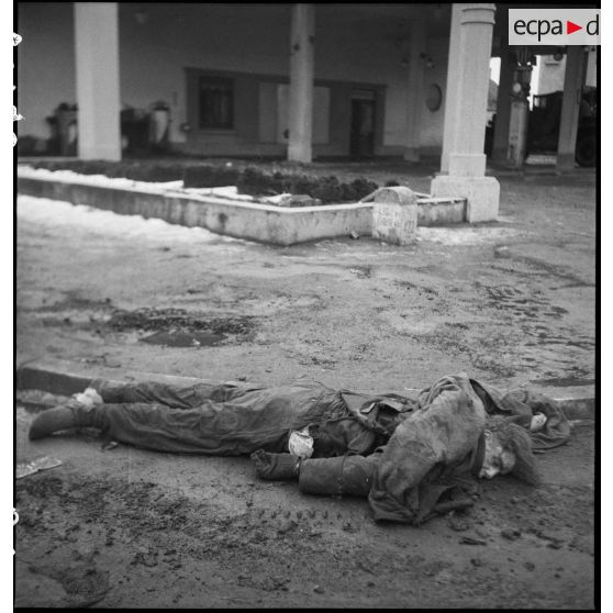 Cadavres de soldats allemands. [description provisoire]