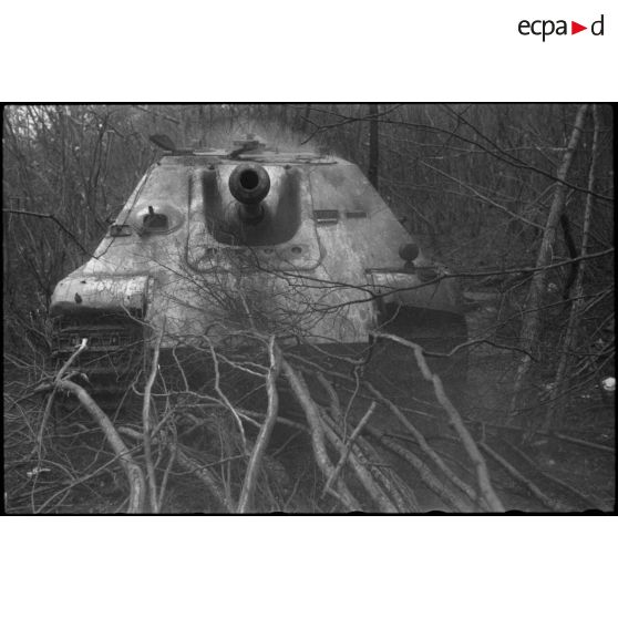 Sur la route de Wolfgantzen (Haut-Rhin) (8 km est de Colmar), un chasseur de char Jagdpanther dans les bois. [description provisoire]