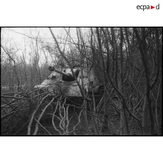 Sur la route de Wolfgantzen (Haut-Rhin) (8 km est de Colmar), un chasseur de char Jagdpanther dans les bois. [description provisoire]