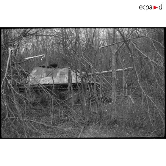 Sur la route de Wolfgantzen (Haut-Rhin) (8 km est de Colmar), un chasseur de char Jagdpanther dans les bois. [description provisoire]