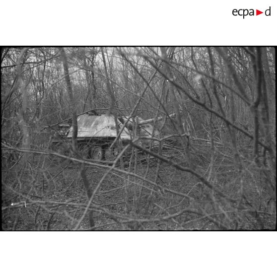 Sur la route de Wolfgantzen (Haut-Rhin) (8 km est de Colmar), un chasseur de char Jagdpanther dans les bois. [description provisoire]