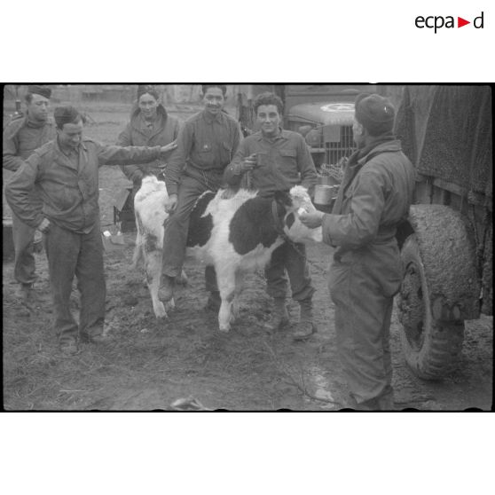 insigne 3e RAC [description provisoire]