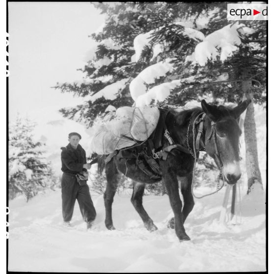 Avec la Division alpine. [description provisoire]