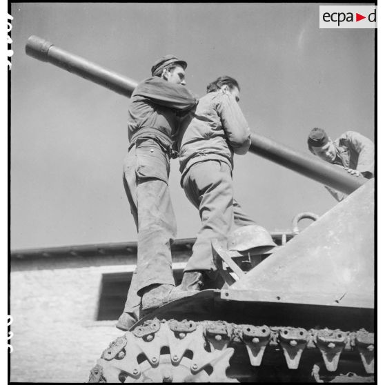 Maintenance sur le canon de 76 mm du Sherman M4 A3 Flandres II  du 3e escadron du 12e régiment de chasseurs d'Afrique (12e RCA).