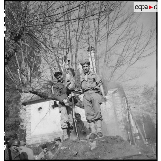Cuisson des moutons pour la fête du Mouloud célébrée par les troupes de la 2e DB à Molsheim (Bas-Rhin). [description provisoire]