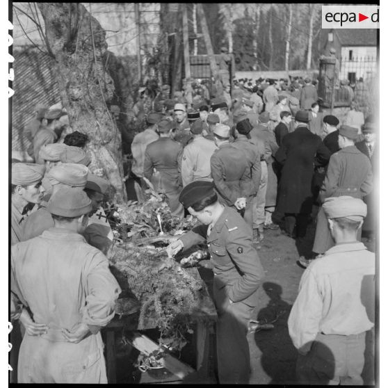 Méchoui à l'occasion de la fête du Mouloud célébrée par les troupes de religion musulmane au sein la 2e DB (Division blindée) à Molsheim (Bas-Rhin). [description provisoire]