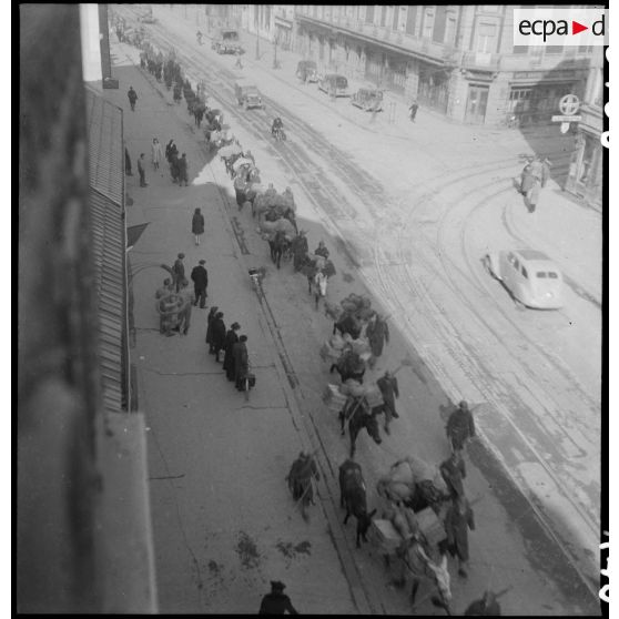 Passage d'une colonne muletière dans Mulhouse. [description provisoire]