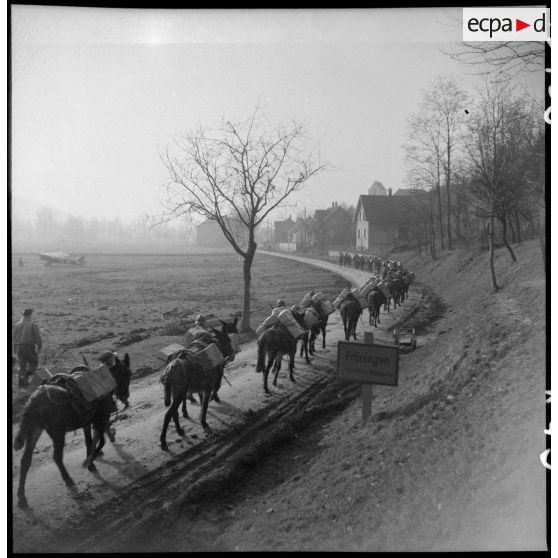 Passage d'une colonne muletière à Froeningen près de Mulhouse (Haut-Rhin). [description provisoire]