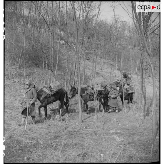 Passage d'une colonne muletière près de Mulhouse (Haut-Rhin). [description provisoire]