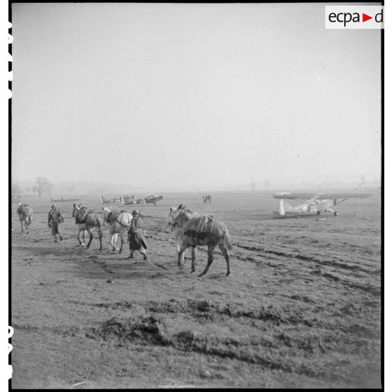 Passage d'une colonne muletière. [description provisoire]