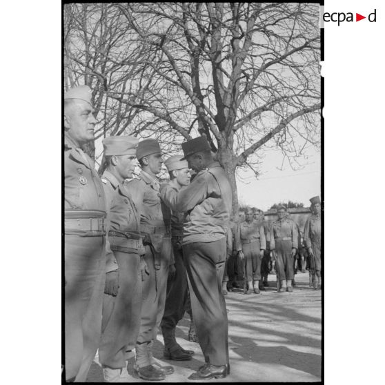 Officiers du 12e RCA décorés. [description provisoire]