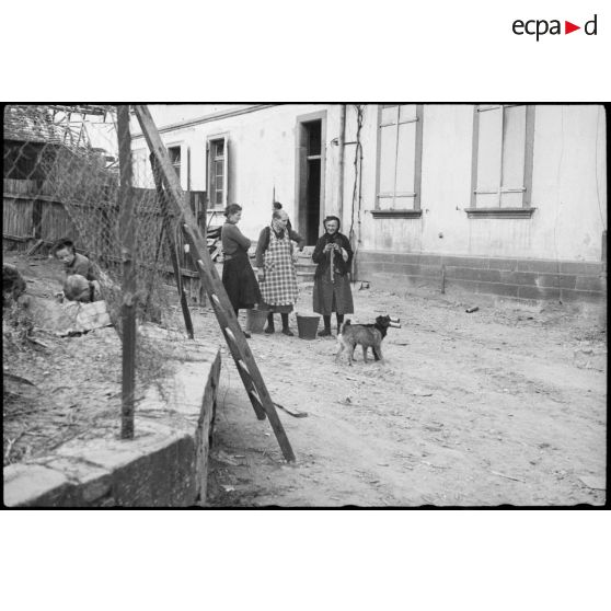 Femmes du village. [description provisoire]