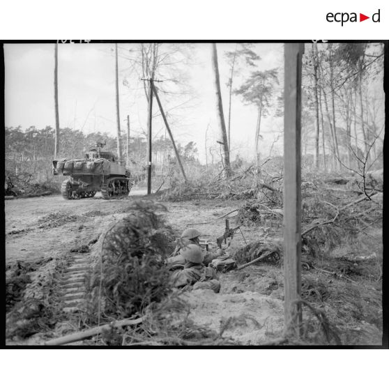 Goumiers à l'affût dans la forêt de Bienwald. [description provisoire]