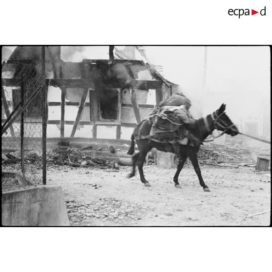 Les soldats de la 3e DIA (Division d'infanterie algérienne) avancent dans le village de Büchelberg dévasté. [description provisoire]