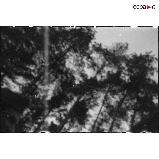 Cliché inexploitable. [description provisoire]