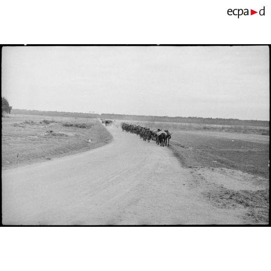 Les troupes de la 1re Armée progressent en Rhénanie-Palatinat. [description provisoire]