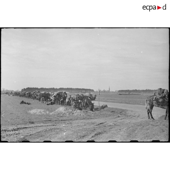 Les goumiers de la 3e DIA (Division d'infanterie algérienne). [description provisoire]