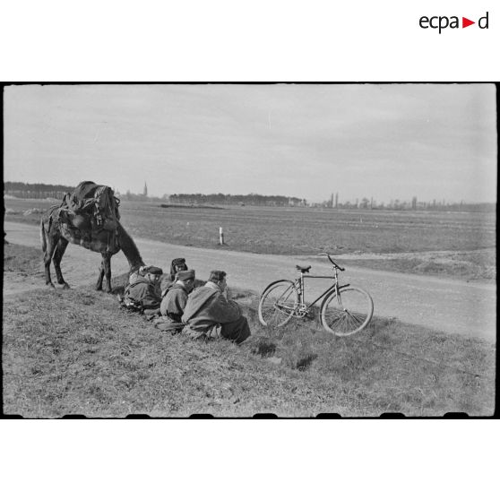 Les goumiers de la 3e DIA (Division d'infanterie algérienne). [description provisoire]