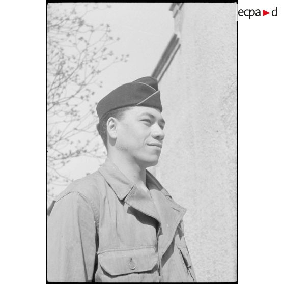 Marsouin tahitien du BIMP. [description provisoire]