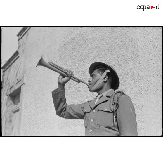 Clairon du BIMP. [description provisoire]