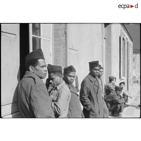 Portrait de groupe de marsouins du BIMP. [description provisoire]