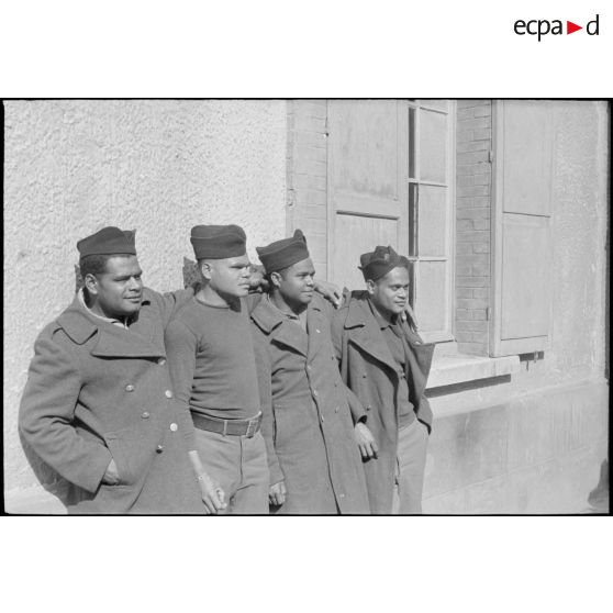 Portrait de groupe de marsouins du BIMP. [description provisoire]