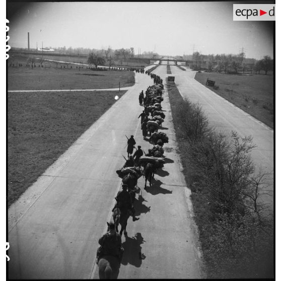 Progression de troupes de la 9e DIC. [description provisoire]