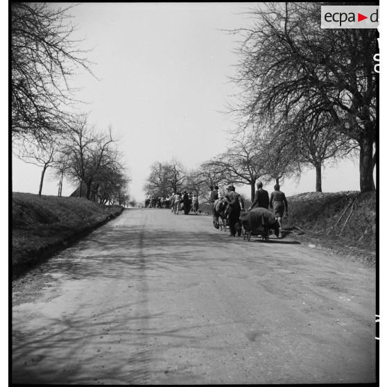 Population allemande fuyant devant les combats et l'avancée des Alliés dans les environs de Vaihingen. [description provisoire]