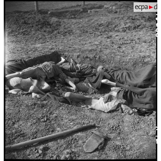 Fosse commune dans le camp de Vaihingen libéré. [description provisoire]