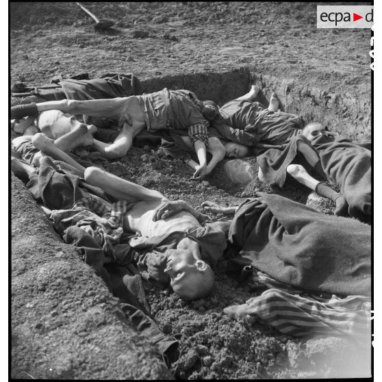 Fosse commune dans le camp de Vaihingen libéré. [description provisoire]