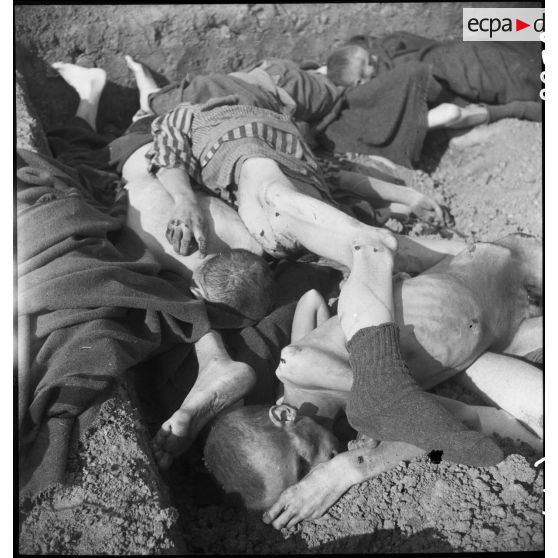 Fosse commune dans le camp de Vaihingen libéré. [description provisoire]