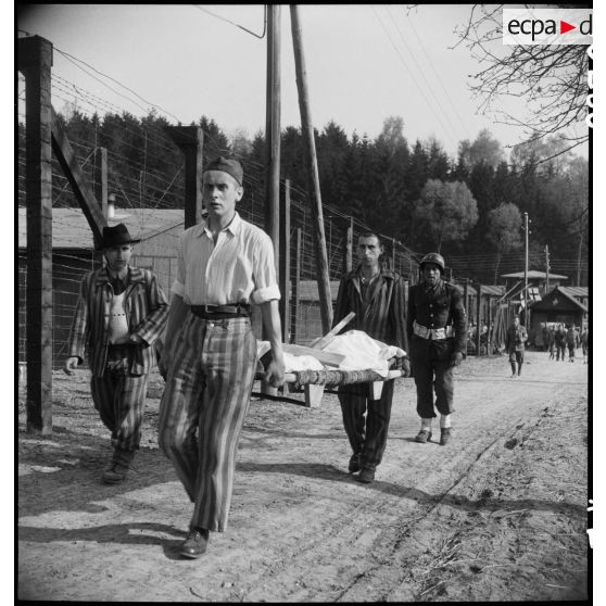 Les dépouilles des déportés décédés sont transportées pour être inhumées dans le camp de Vaihingen libéré. [description provisoire]