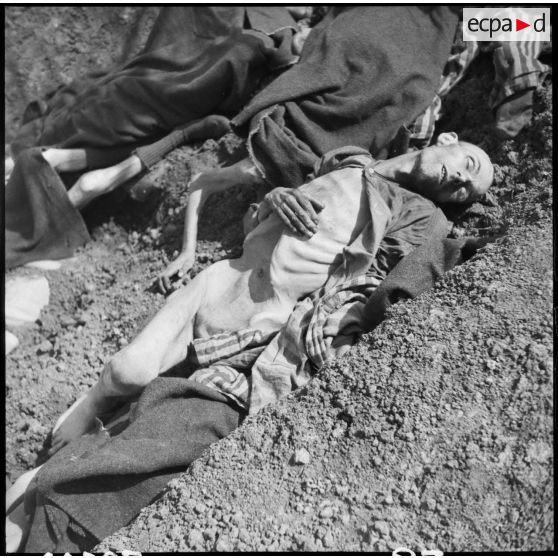 Cadavres de déportés dans une fosse commune dans le camp de Vaihingen. [description provisoire]