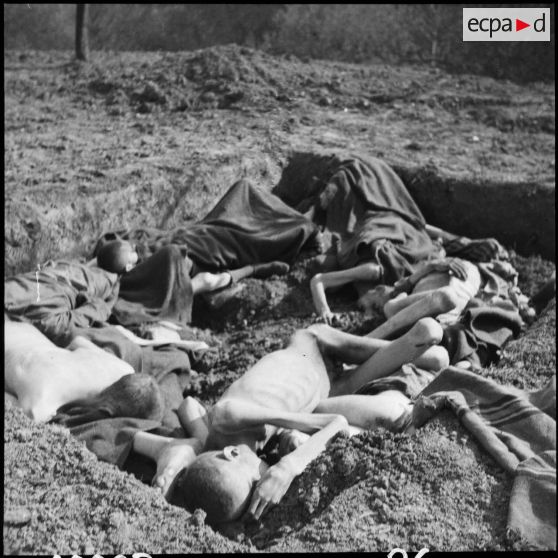 Cadavres de déportés dans une fosse commune au camp de Vaihingen. [description provisoire]
